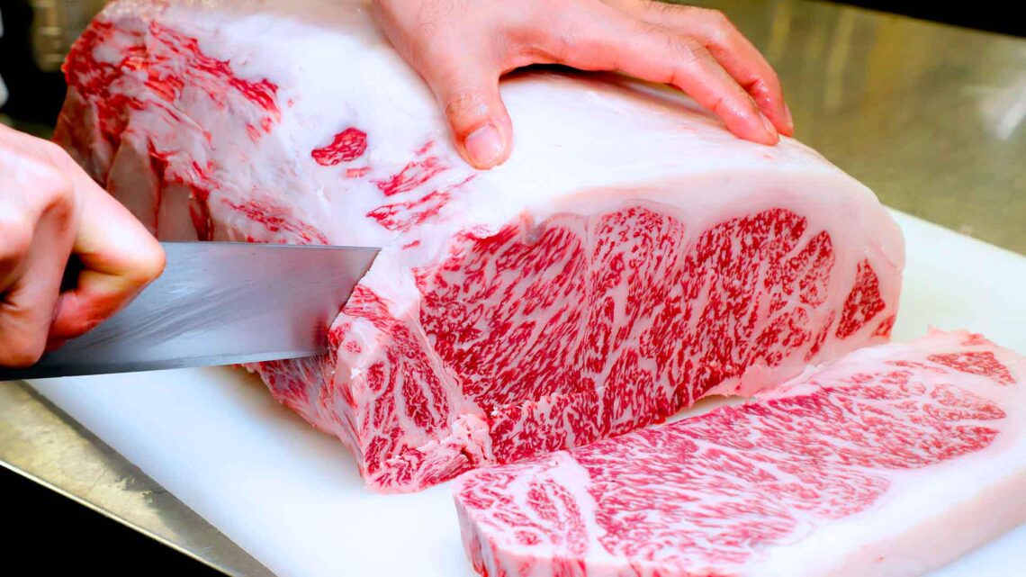 Wagyu Beef