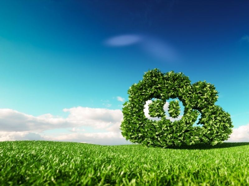 What are you doing to reduce carbon emissions?