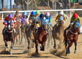 Horse racing in Korea