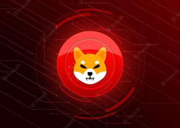 Shiba inu coin currency | FintechZoom