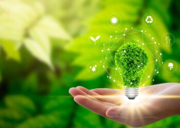 Person holding a green lamp in left hand | FintechZoom