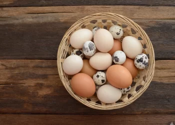 All eggs in one basket | FintechZoom