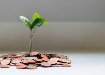 Tree growth based on coins over a table | FintechZoom