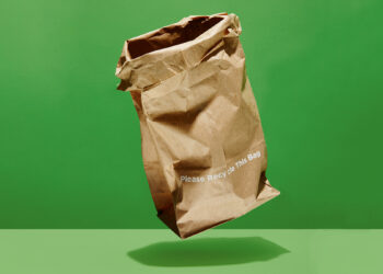 ECO Bag for take-away Food | FintechZoom