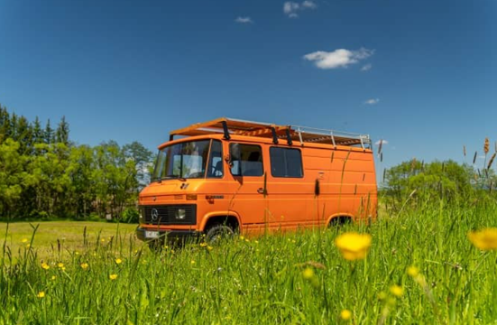 I want to travel with my camper | FintechZoom
