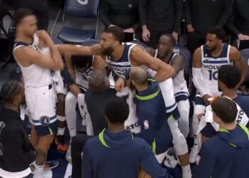 Rudy-Gobert-Kyle-Anderson-punch | FintechZoom