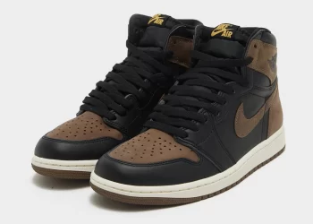 Jordan 1 Retro High OG Palomino | FintechZoom