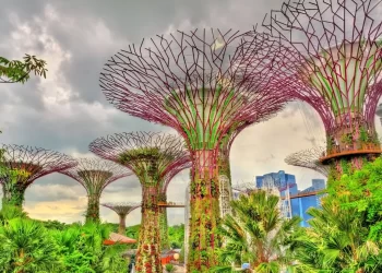 Singapore | FintechZoom