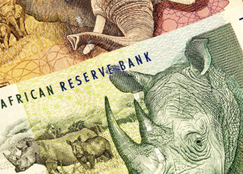 Close-up of South African banknotes. Prominently, a 10 Rand note featuring a rhinoceros, a 20 Rand note with an elephant, and part of a 50 Rand note. The intricate designs and vibrant colors vividly represent the currency of South Africa amid considerations of Euro to Rand exchanges. | FintechZoom