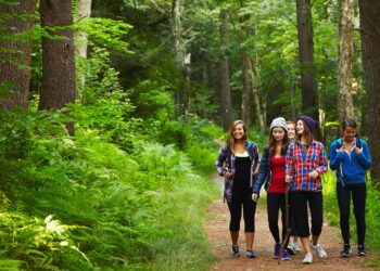 Four people walk on a forest trail surrounded by tall trees and lush green ferns. They are dressed in casual outdoor clothes, and three of them are smiling and engaged in conversation, while one is looking at something in their hands. The atmosphere appears relaxed and friendly, perfect for the Wilderness Program. | FintechZoom