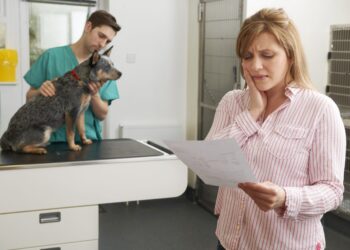 A woman in a striped shirt reads a document with concern, possibly bills, while a veterinarian in green scrubs examines a small dog on an examination table in the background. The setting appears to be a veterinary clinic. | FintechZoom