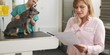 A woman in a striped shirt reads a document with concern, possibly bills, while a veterinarian in green scrubs examines a small dog on an examination table in the background. The setting appears to be a veterinary clinic. | FintechZoom
