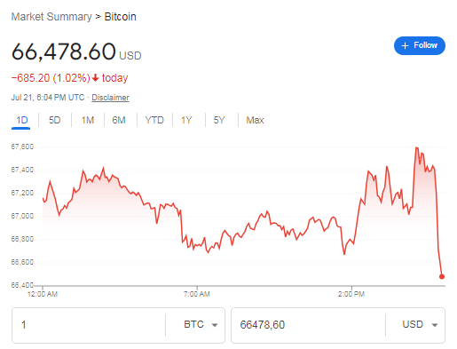 A line graph shows the price of Bitcoin in USD over a single day. It starts at 66,480 USD, fluctuates throughout the day, and ends with a sharp drop around 8 PM UTC. The current price is 66,478.60 USD, down 685.20 USD (1.02%). Options to view in other timeframes are available. | FintechZoom