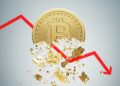 Crypto Crash | FintechZoom
