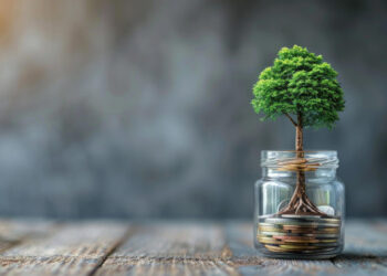 A small tree grows out of a stack of coins inside a glass jar, which sits on a wooden surface with a blurred gray background. The image, reminiscent of FintechZoom.com Investments, symbolizes financial growth and investment. | FintechZoom