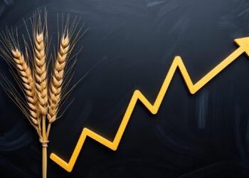 A bundle of wheat stalks is positioned next to a rising yellow zigzag arrow on a dark background, symbolizing an increase in wheat prices or production. | FintechZoom