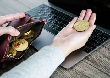 Cryptocurrency Adoption in Developing Economies