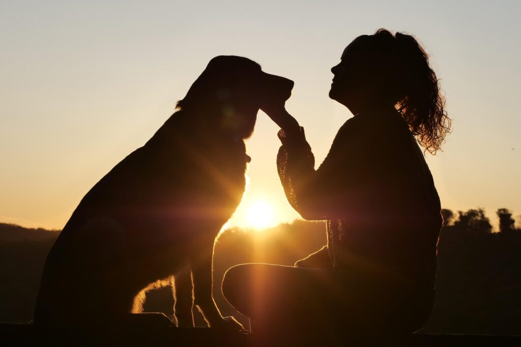 Silhouette of a person sitting and gently touching a dog's face during a sunset. The sun is low on the horizon, creating a warm glow and the sky is clear. The person's hair is tied back, and the scene conveys a peaceful moment. | FintechZoom