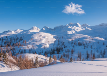 Snow-covered mountains under a clear blue sky set the scene for a tranquil winter camping trip. A single cloud drifts overhead while pine trees scattered across the snowy landscape cast shadows on the pristine white surface. | FintechZoom