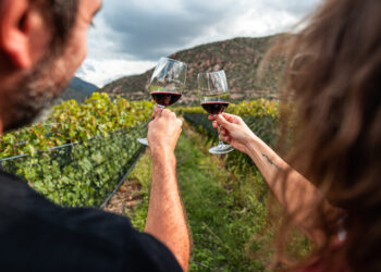 Two people toast with glasses of red wine in a vineyard, surrounded by green grapevines and mountains under a cloudy sky. The focus is on their hands and wine glasses, with blurred faces in the foreground. | FintechZoom