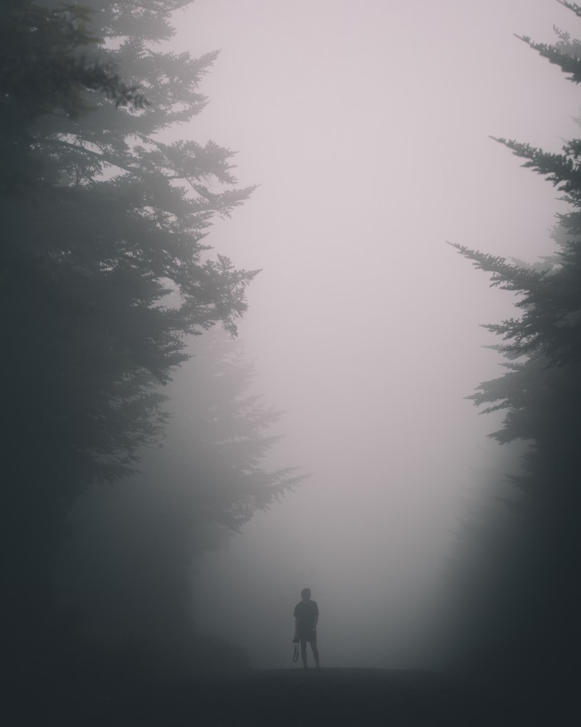 A solitary person stands on a path surrounded by tall trees, shrouded in dense fog, embodying quiet acceptance amid the mysterious and moody atmosphere. | FintechZoom