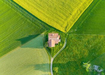 Aerial view of a house with a red roof surrounded by vibrant green and yellow fields, ideal for Rural Property Purchases, divided into geometric sections and intersected by a narrow winding path. | FintechZoom