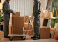 Two removal men in uniforms and gloves are stacking cardboard boxes, with one using a trolley in a lounge filled with packed boxes, plants, and furniture, suggesting a home or office move. | FintechZoom