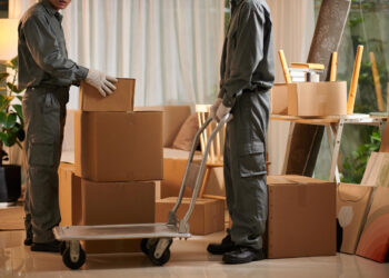 Two removal men in uniforms and gloves are stacking cardboard boxes, with one using a trolley in a lounge filled with packed boxes, plants, and furniture, suggesting a home or office move. | FintechZoom