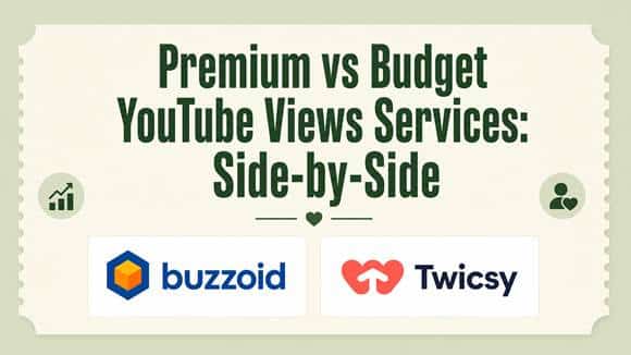 Comparison of premium vs budget YouTube views services. Logos for Buzzoid and Twicsy are shown side-by-side under the title text. Icons of a chart and people are at the corners. | FintechZoom
